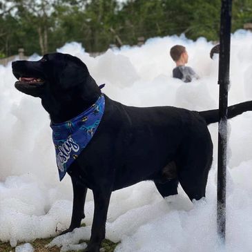 Foam Party