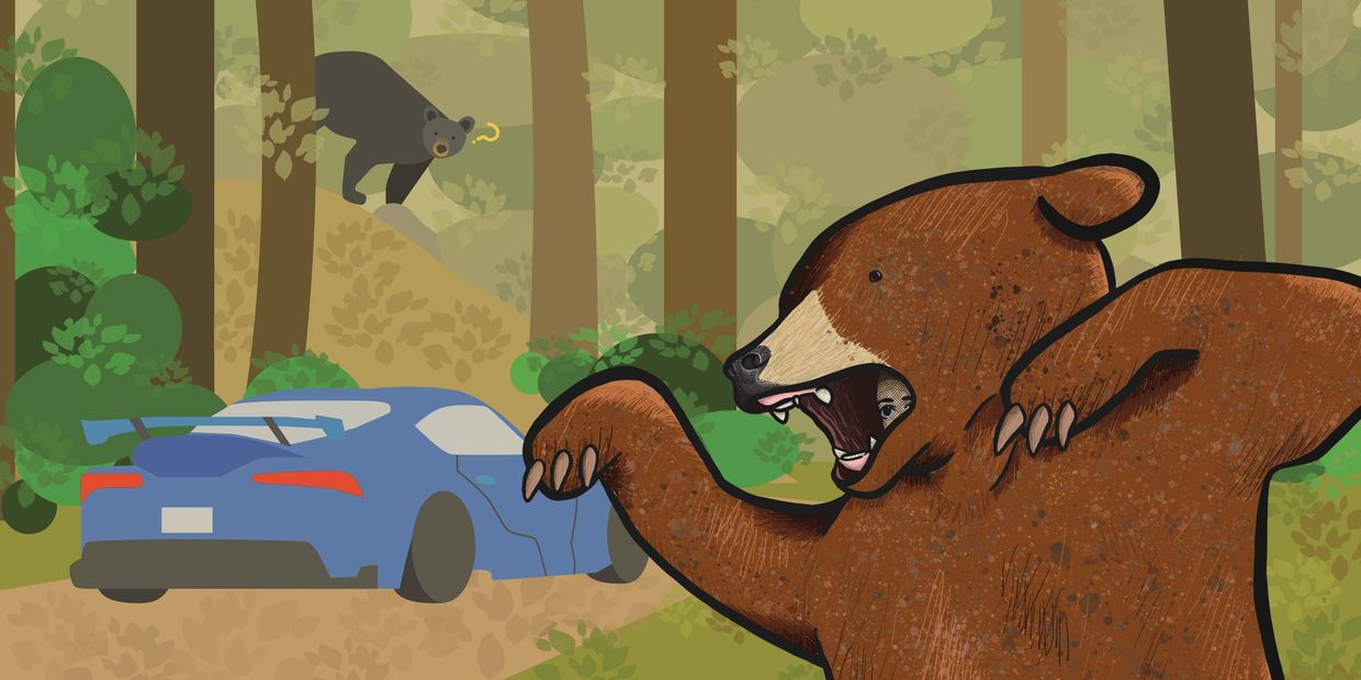 A man hides inside a bear costume while a curious bear watches from a tree near a blue sports car.