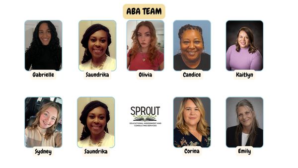 Team photo collage of ABA team members with individual headshots and names.