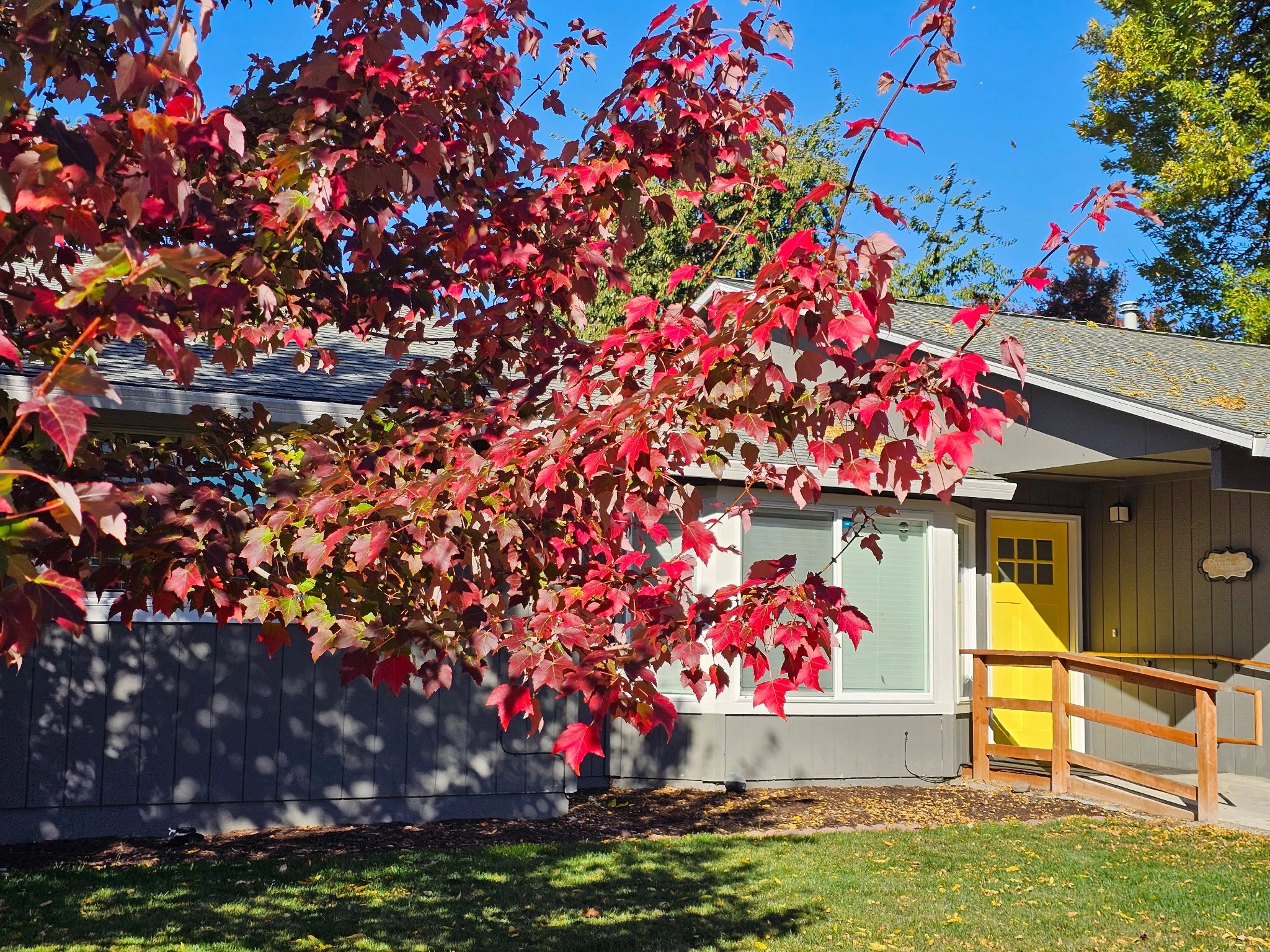 Compassionate Senior Living: Individualized Support & Care
