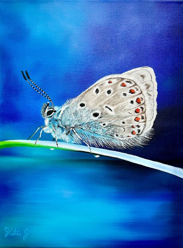 Transformation
12x16 in.
May 2022.
Butterfly