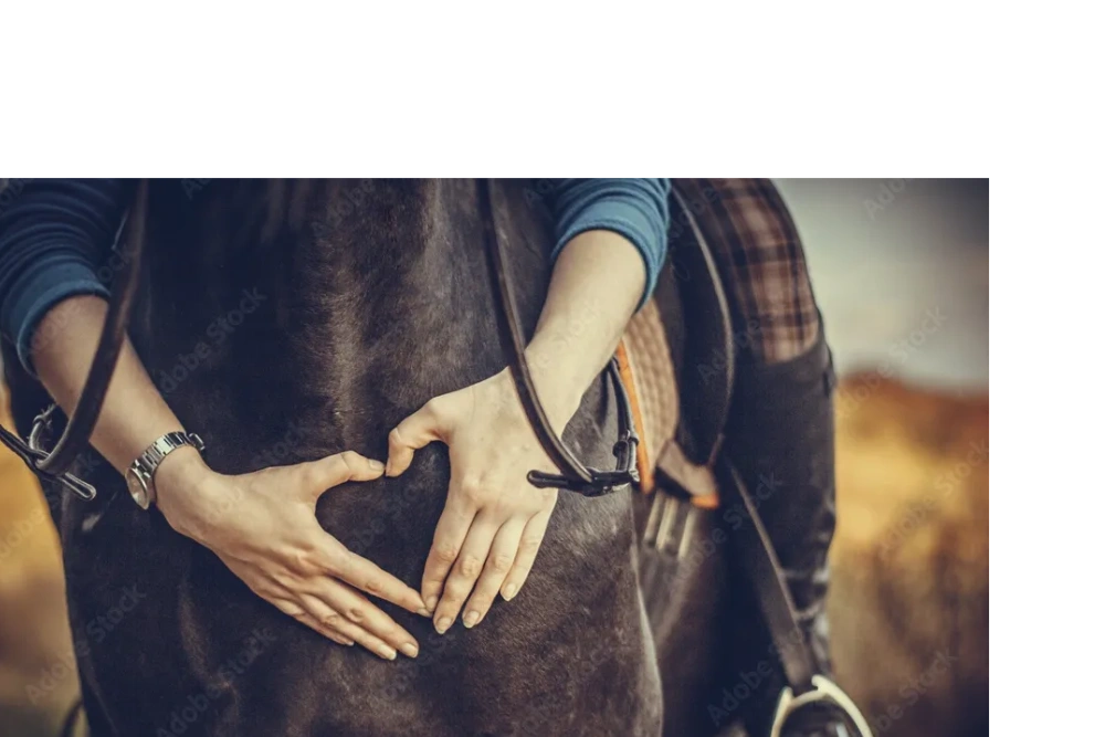 rider's hands in the shape of a heart on her horse's chest