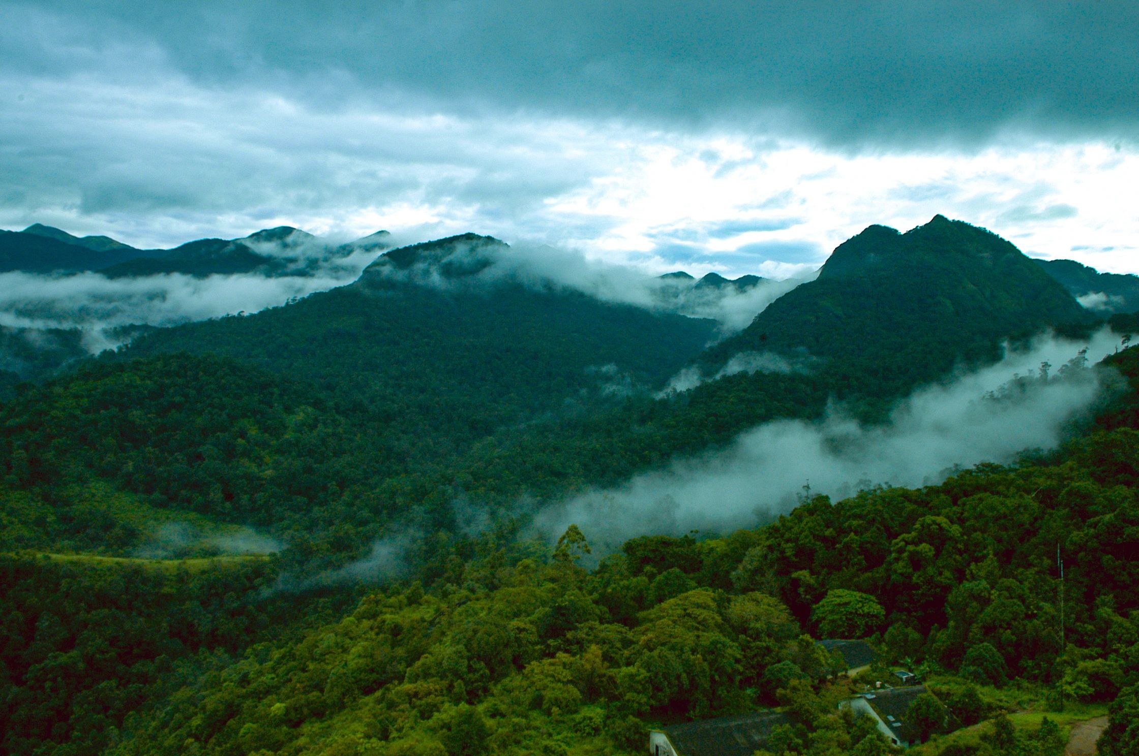 Silent Valley National Park (Kerala) – Photography by Pratap J