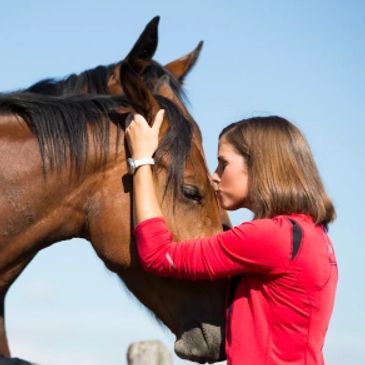 animal behavior, fern animal communicator, horse behavior, behaviorist, behavior modification