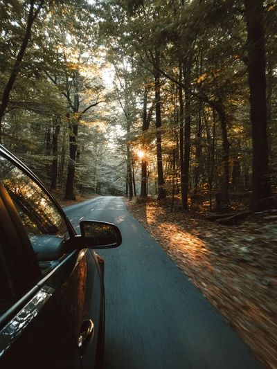 Car driving a forest road, symbolizing Washington drivers facing unfair auto insurance claim issues.