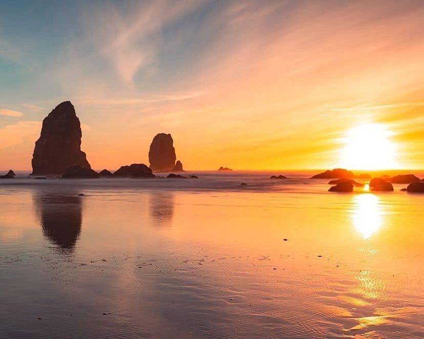 In Home Mobile Euthanasia Home Care Veterinary Services HCVS in-home-mobile-euthanasia-home-care-veterinary-services-hcvs