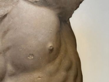 Close-up of a muscular male torso with defined abs and chest.