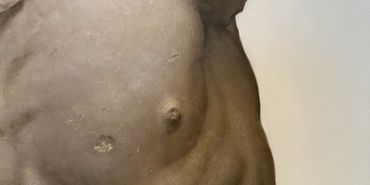 Close-up of a person's upper torso and chest.