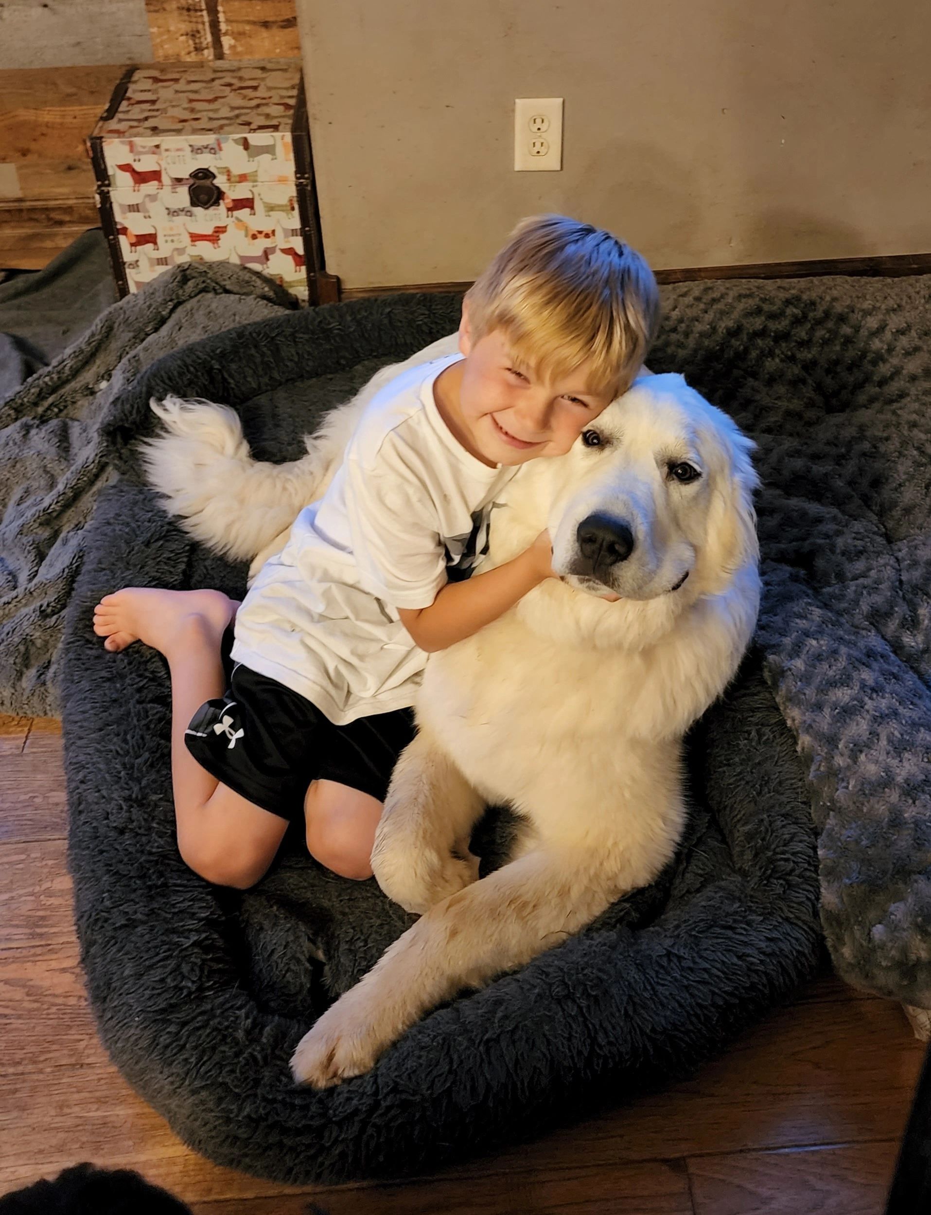 WagZone Pet Services Pet Services, Dog Walker, Pet Sitting