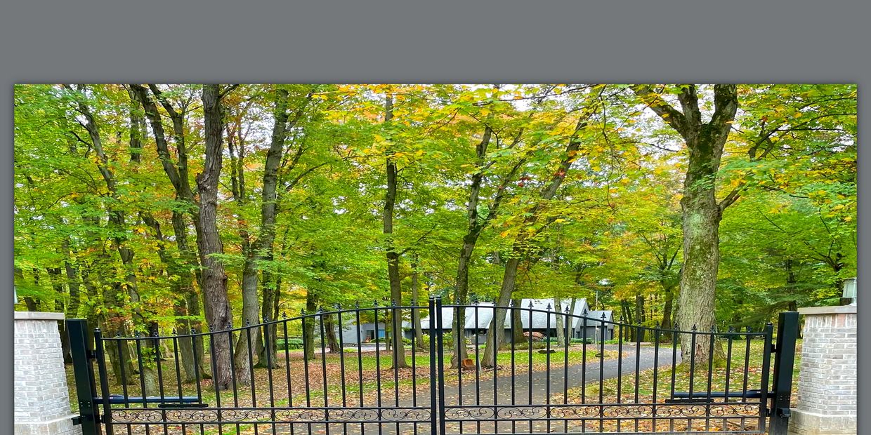 Secure, residential automatic/automated gate. Iron gate with finials.