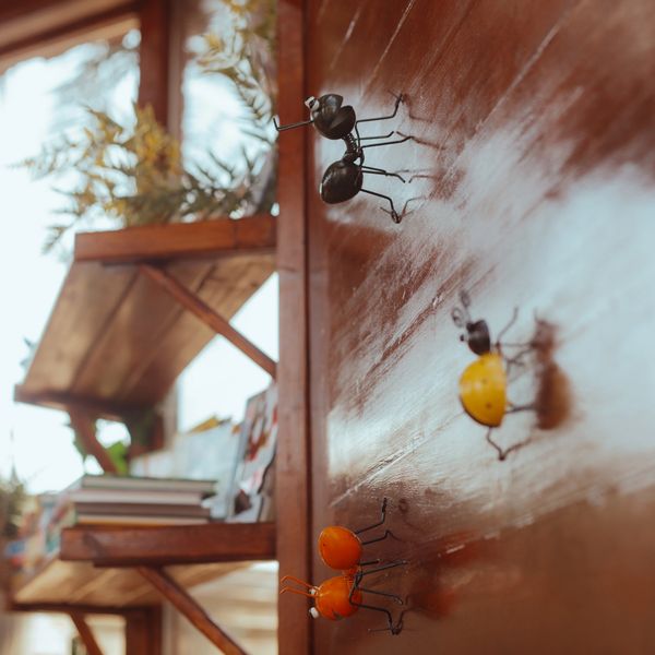 Nature inspired Garden Tales library built with a greenhouse concept to inspire a love for reading