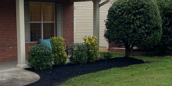 A neatly landscaped front yard with bushes and a curved concrete path.