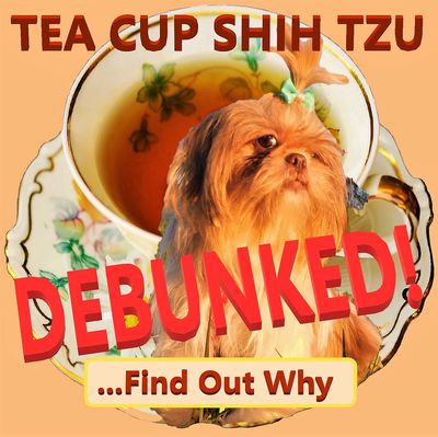Shih Tzu Puppies for Sale by Pup-Tzu WNC shows a Teacup Shih Tzu with the word debunked across it.