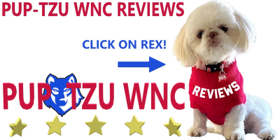 A Shih Tzu pup in a red sweater that says reviews of Pup-Tzu WNC and their Shih Tzu puppies for sale