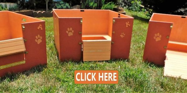 Shih Tzu puppy whelping boxes on display with soft colors of orange, yellow and brass.