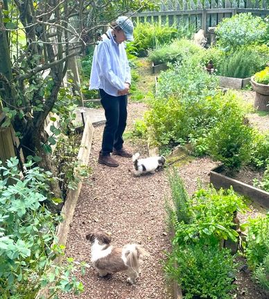 Linda Dano in her garden with Shih Tzu puppies Gracie and Maddie in Connecticut, U.S.