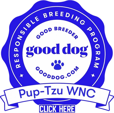 Approved Good Dog Shih Tzu breeder in North Carolina with nationwide delivery -Pup-Tzu WNC.
