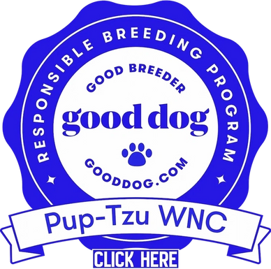 Approved Good Dog Shih Tzu breeder in North Carolina with nationwide delivery -Pup-Tzu WNC.