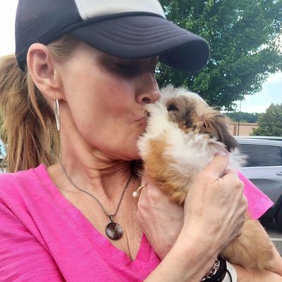 A happy new owner in a pink shirt kissing her fluffy brown-white Shih Tzu puppy from Pup-Tzu WNC.