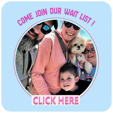 Healthy Shih Tzu puppies for sale in NC | Ethical breeder Pup-Tzu WNC | Health guarantee.