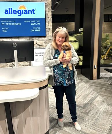 A Shih Tzu puppy held by our personal flight nanny dedicated to safe care and transport nationwide.