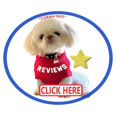 Read 5-Star Reviews of Pup-Tzu WNC on Google.