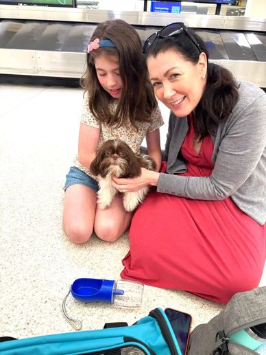 A family with their new Shih Tzu puppy in EWR airport, Newark, NJ. A safe, affordable delivery.