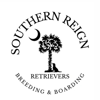 Southern Reign Retrievers Breeding & Boarding 