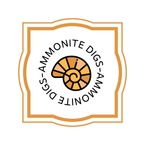 Ammonite Digs