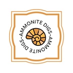 Ammonite Digs