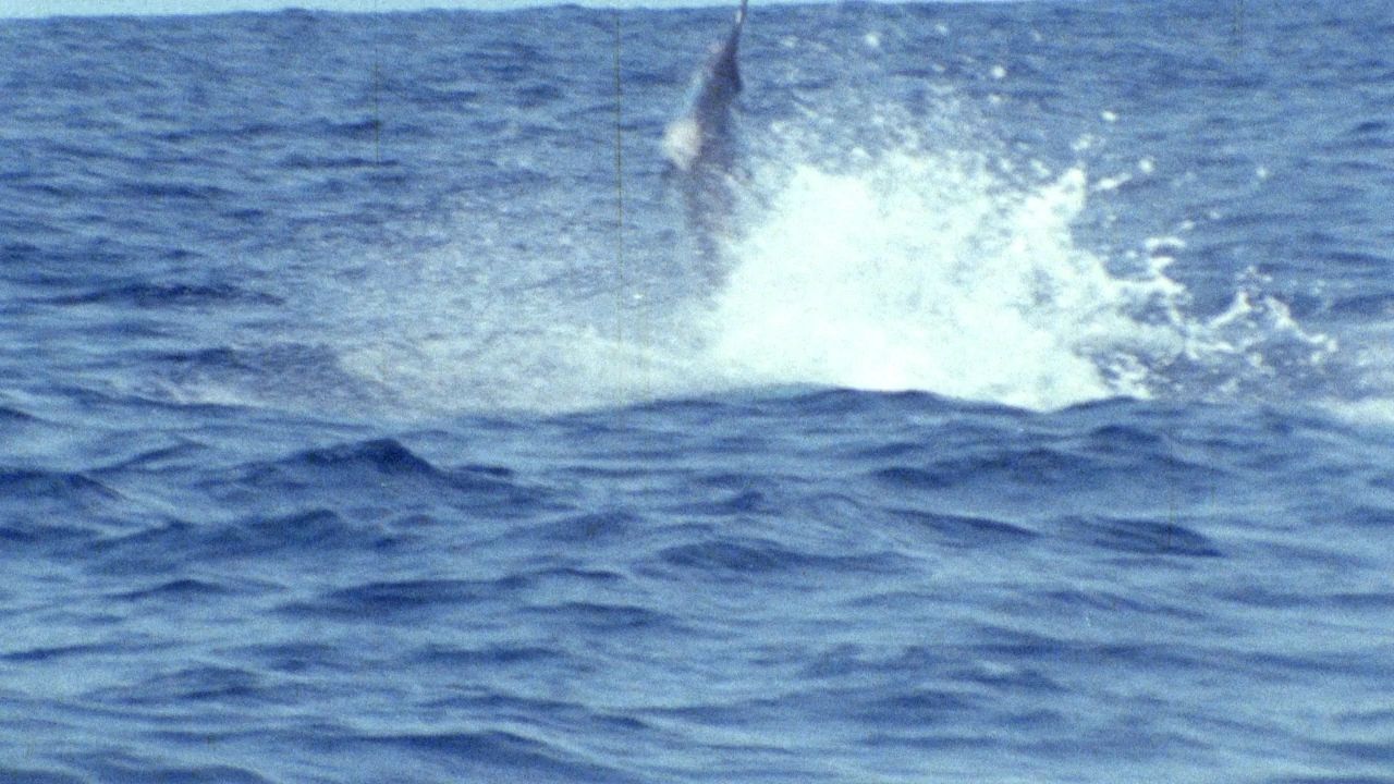 https://img1.wsimg.com/isteam/ip/c923458b-d1d6-401d-ad45-d6325d4b57c5/thumbnails/thumbnail-ffa46938-ddf5-47ac-b088-7f10c1d8256c.png