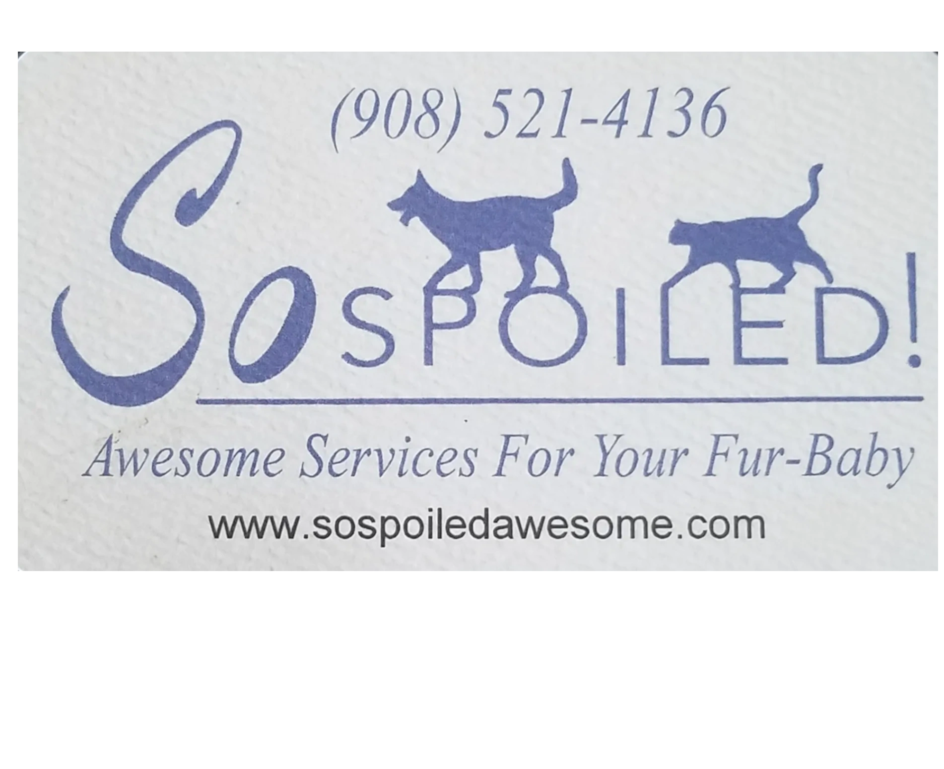 Pet Services, Pet Walking and Sitting - Asbury Park, New Jersey 