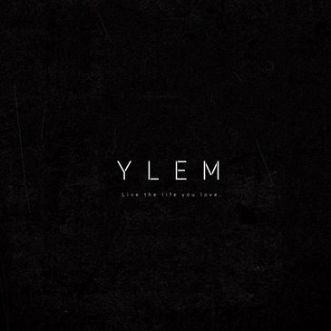 YLEM LLC