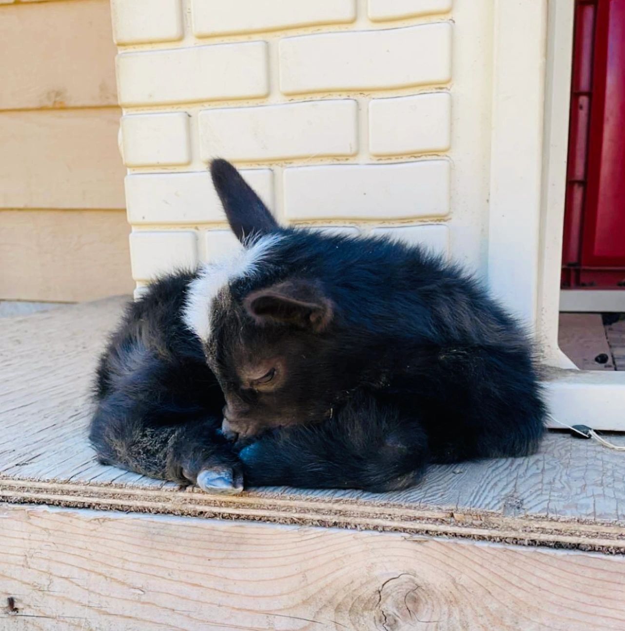 WHAT DOES REFERENCE MEAN IN ENGLISH visual data 2