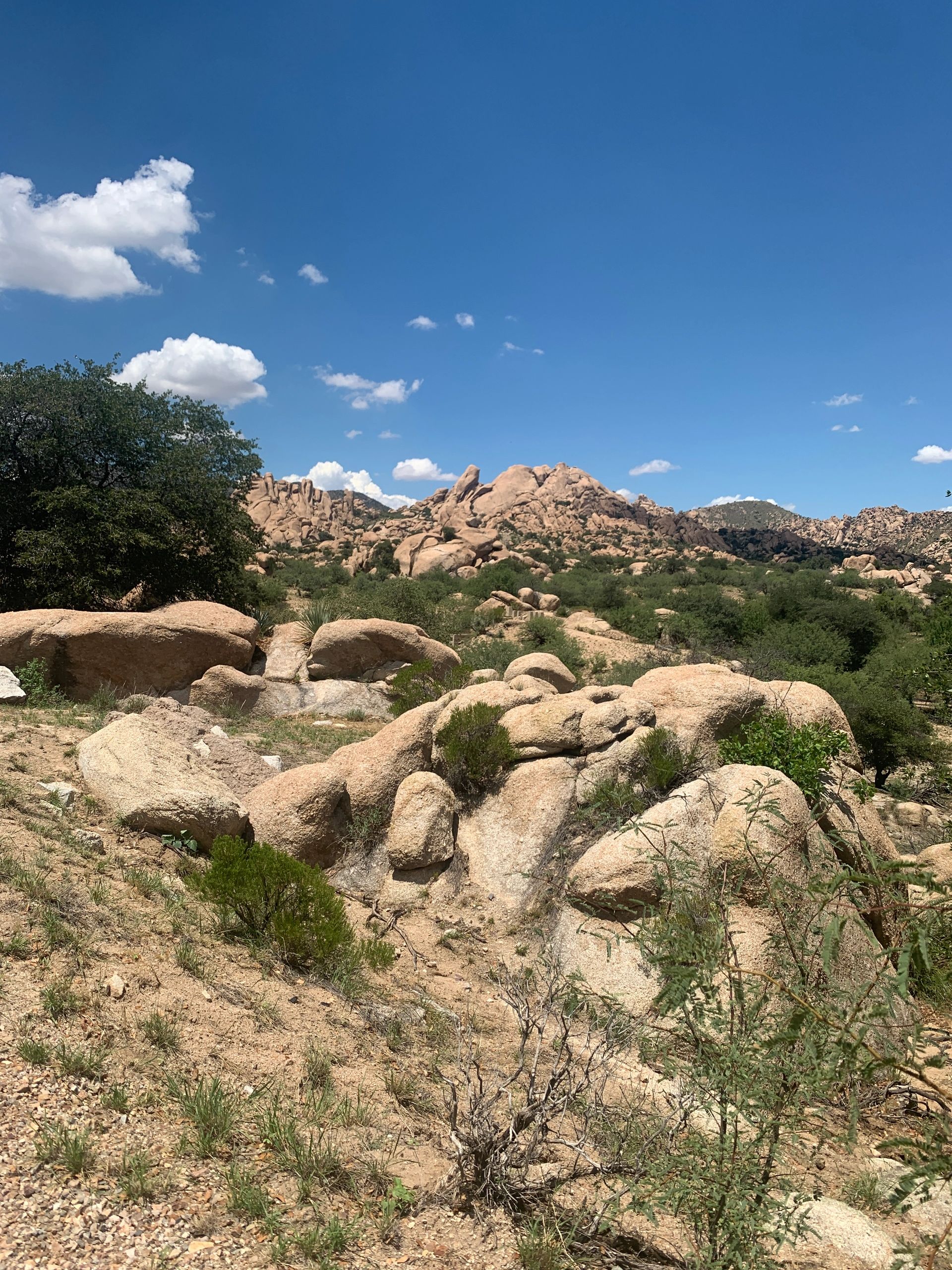 Petrographic Thin Sections Quality Thin Sections