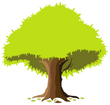 Corporación Ambiental y Forestal del Pacífico