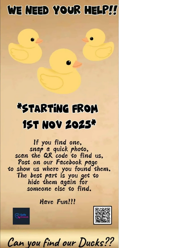 Poster asking for help to find rubber ducks and share their location on Facebook.