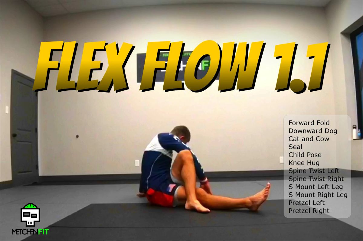 Flex Flow 1.1 eGuide