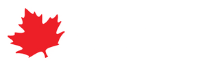 Special Travel International