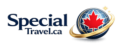 Special Travel International