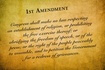 The First Amendment News Pages