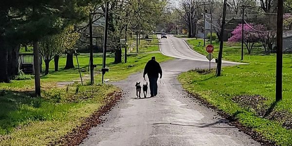 Man waking 2 dogs, dog training, dog fitness, dog obedience, dog parkour, southern Illinois