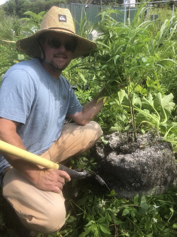 Man in a straw hat gardening with a shovel beside a plant root ball.