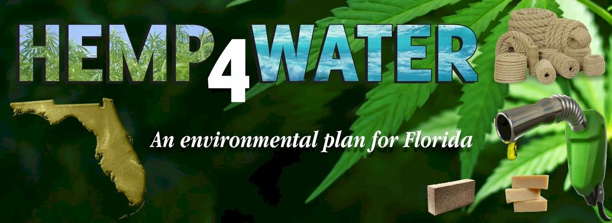 Hemp4Water: An environmental plan for Florida using hemp for water solutions.