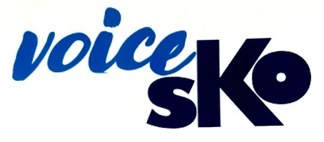 Voice SKO Narration