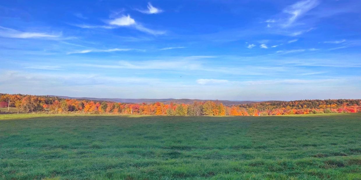 Haerer Rare and Wonderful Books location beautiful New England views fall rural trees Ashfield MA