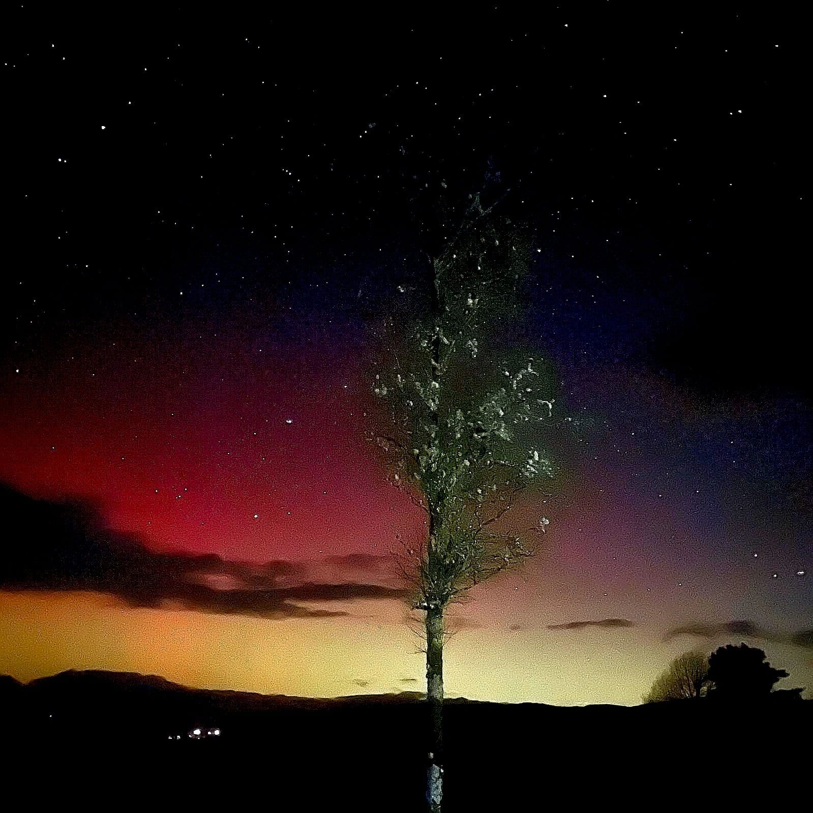 What does January Mean to you?