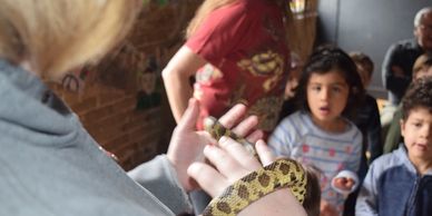 A woman holds a snake to the amazement of young kids.