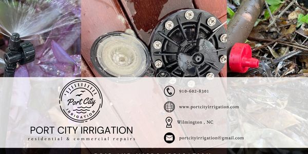 Seasonal Irrigation Tips