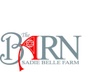 The Barn at Sadie Belle Farm